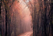 萨拉赫迎来十赛季高光表现，掘金球迷沸腾！